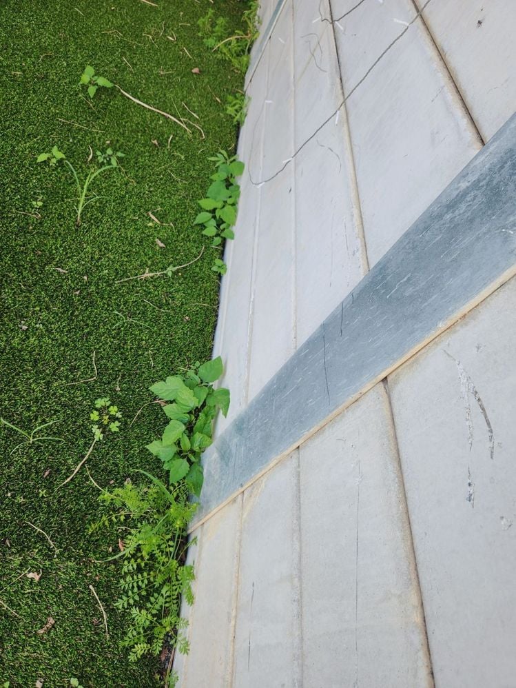 20240916_140434.jpg 20240916_140434.jpg