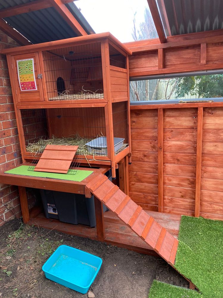 IMG_0247.jpg IMG_0247.jpg