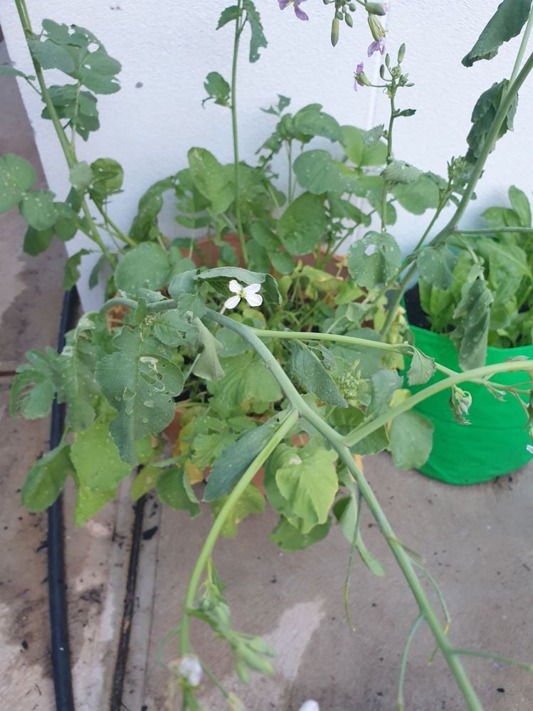 20240112_193629.jpg 20240112_193629.jpg