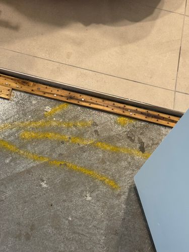 IMG_4750.jpeg IMG_4750.jpeg