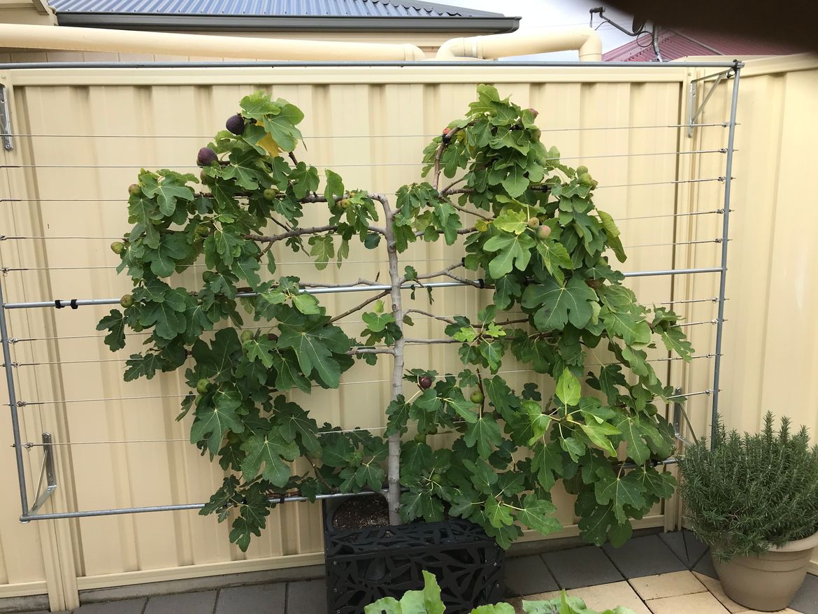 IMG_0206.jpeg IMG_0206.jpeg