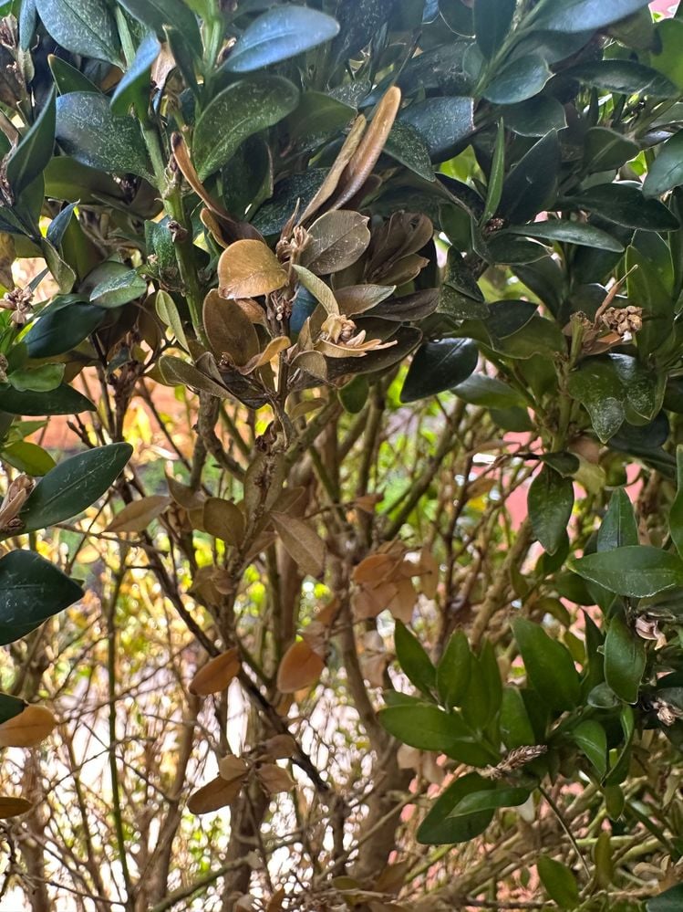 IMG_8183.jpg IMG_8183.jpg