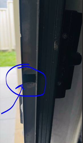 Sugar_6-1727404237032.png Sugar_6-1727404237032.png