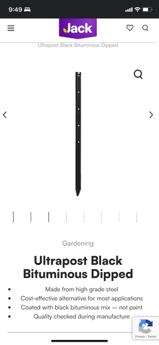 IMG_9937.png IMG_9937.png