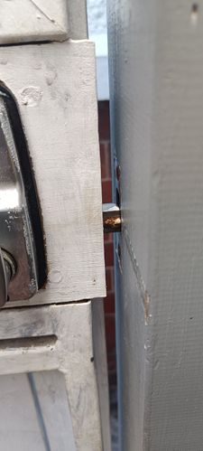 1000017020.jpg 1000017020.jpg