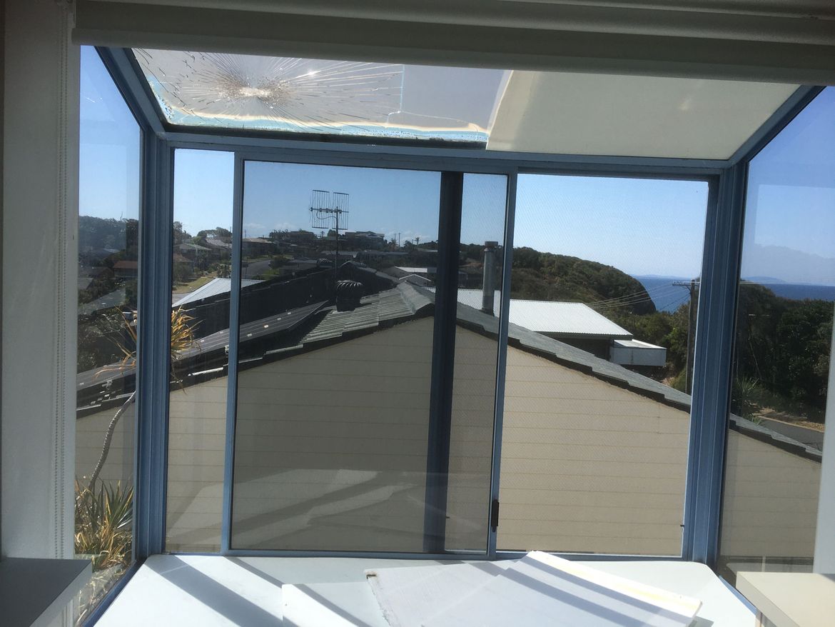 IMG_3588 (1).JPG IMG_3588 (1).JPG