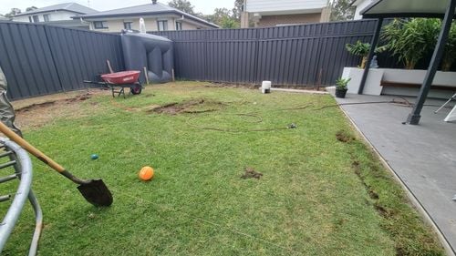 1000090147.jpg 1000090147.jpg