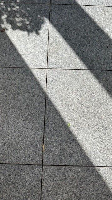 paving stone 2.jpg paving stone 2.jpg