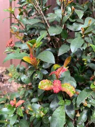 B952E2BC-7CAE-49C4-A3A3-A11230EB74B5.jpeg B952E2BC-7CAE-49C4-A3A3-A11230EB74B5.jpeg