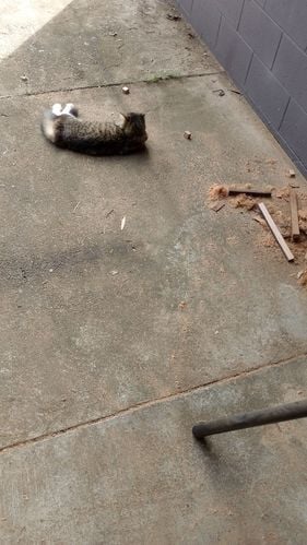 IMG_20250520_125714.jpg IMG_20250520_125714.jpg