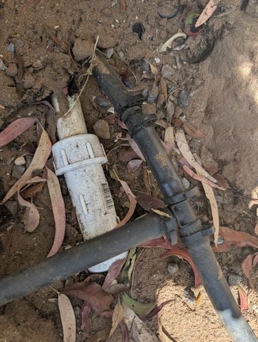 1000009876.jpg 1000009876.jpg