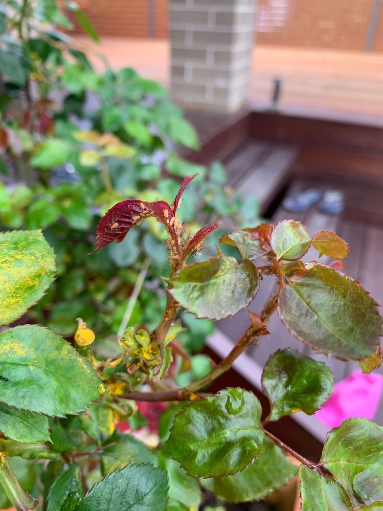 20200914_234503104_iOS.jpg 20200914_234503104_iOS.jpg