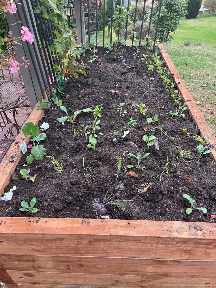 F15A4667-5F89-4970-BBDC-26C5BDE0F49B.jpeg F15A4667-5F89-4970-BBDC-26C5BDE0F49B.jpeg