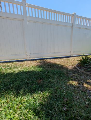 1000008491.jpg 1000008491.jpg