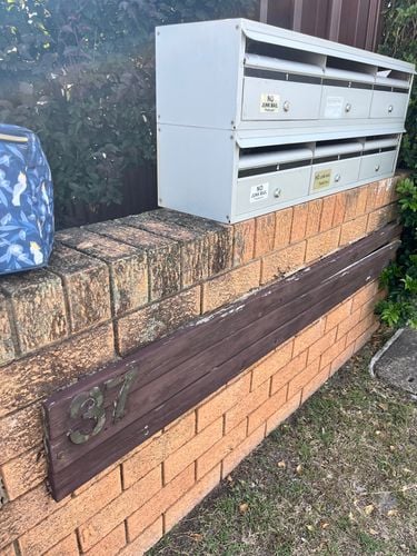 IMG_4464.jpeg IMG_4464.jpeg