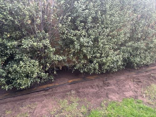 IMG_5628.jpeg IMG_5628.jpeg