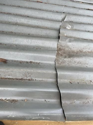 358930C4-F504-400F-996B-633B46EB1127.jpeg 358930C4-F504-400F-996B-633B46EB1127.jpeg