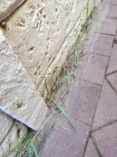 IMG20250421090756.jpg IMG20250421090756.jpg