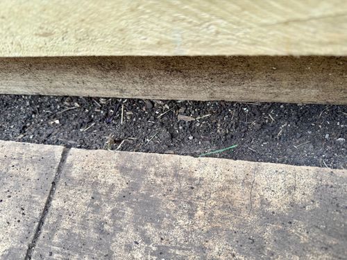 IMG_1714.jpeg IMG_1714.jpeg