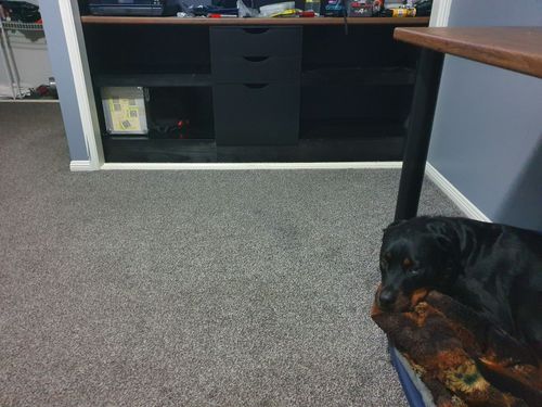 94231229_564761607495430_2935389518640971776_n.jpg 94231229_564761607495430_2935389518640971776_n.jpg