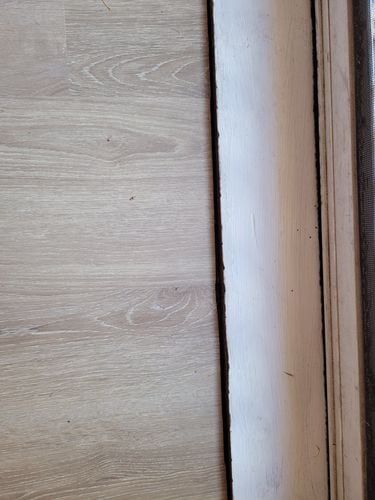 20250319_110312.jpg 20250319_110312.jpg