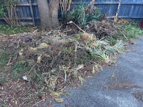 IMG_1962.jpeg IMG_1962.jpeg