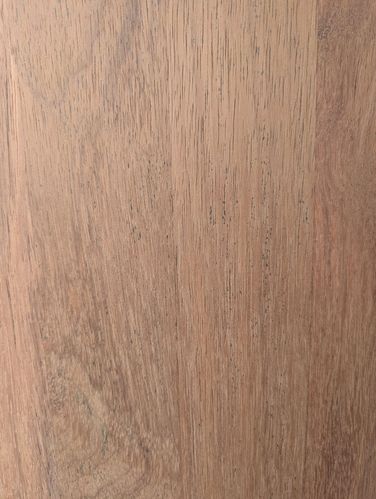 1000005007.jpg 1000005007.jpg