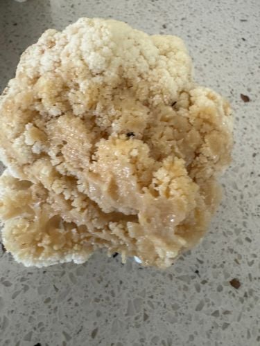 IMG_0283.jpeg IMG_0283.jpeg