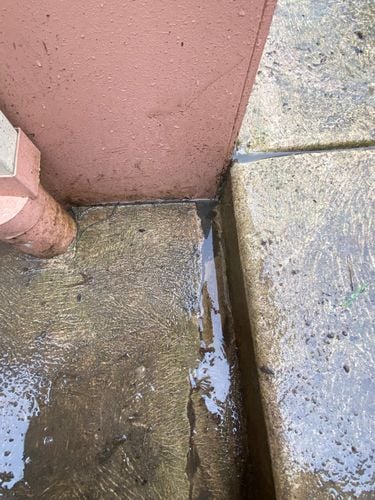 IMG_9448.jpeg IMG_9448.jpeg