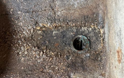 IMG_0709.jpeg IMG_0709.jpeg