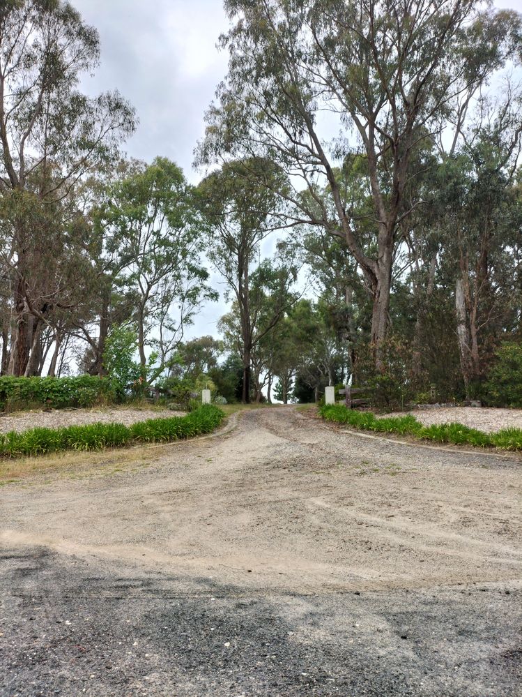 driveway long shot.jpg driveway long shot.jpg