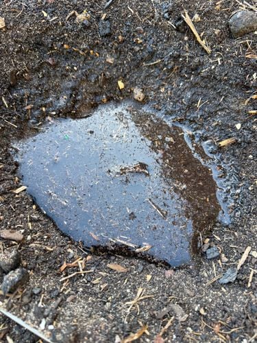 IMG_3285.jpeg IMG_3285.jpeg