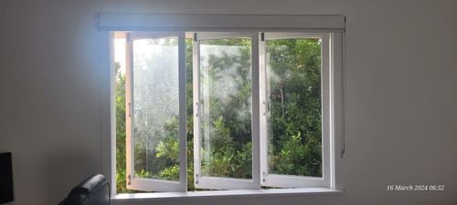 20240316_065229.jpg 20240316_065229.jpg