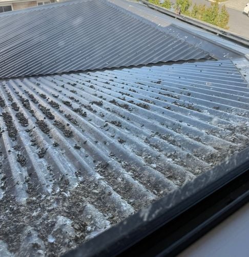 WhatsApp Image 2025-09-06 at 08.27.54_cc4f55f1.jpg WhatsApp Image 2025-09-06 at 08.27.54_cc4f55f1.jpg