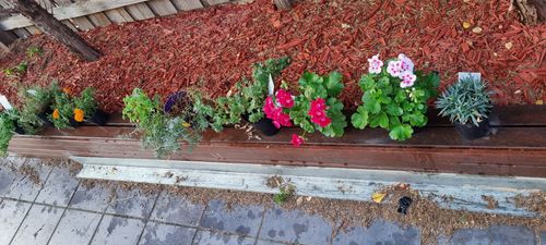 20250402_175009.jpg 20250402_175009.jpg