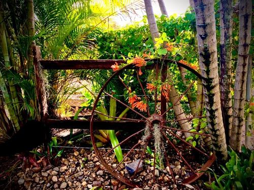 104489517_10221922390030815_3056446855806693141_n.jpg 104489517_10221922390030815_3056446855806693141_n.jpg