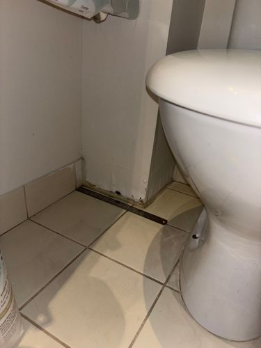 IMG_5115.jpg IMG_5115.jpg