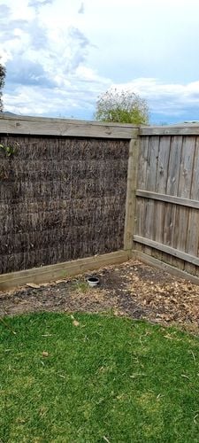 wx_camera_1642137832752.jpg wx_camera_1642137832752.jpg