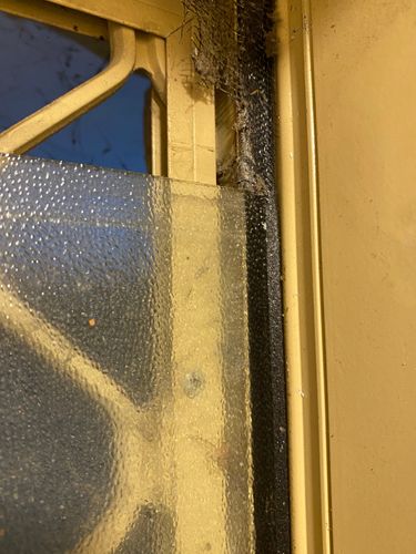 IMG_9042.jpeg IMG_9042.jpeg