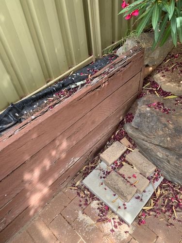 IMG_1453.jpeg IMG_1453.jpeg