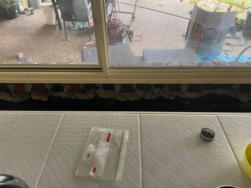 IMG_3111.jpeg IMG_3111.jpeg