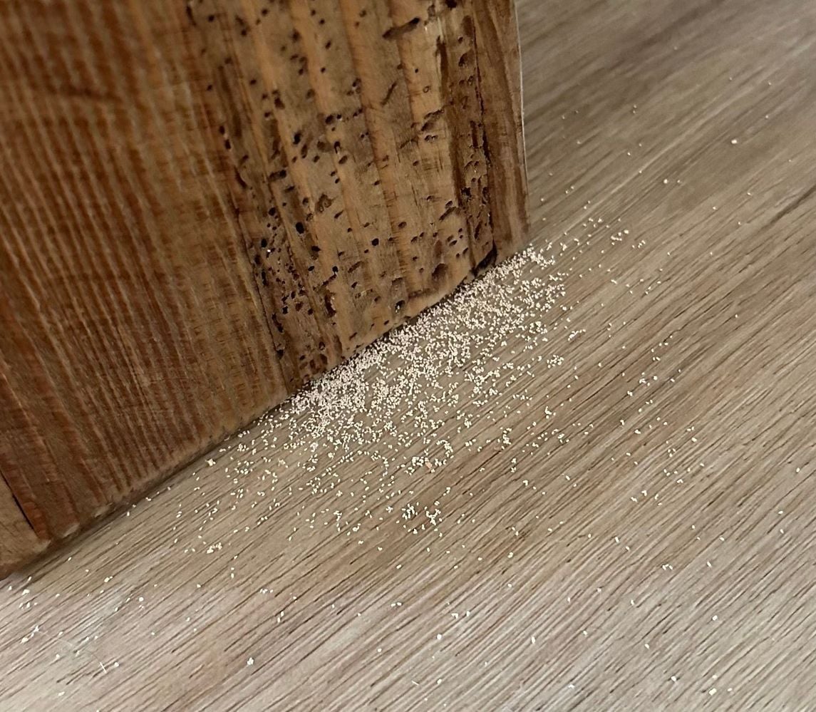 IMG_2510.jpg IMG_2510.jpg