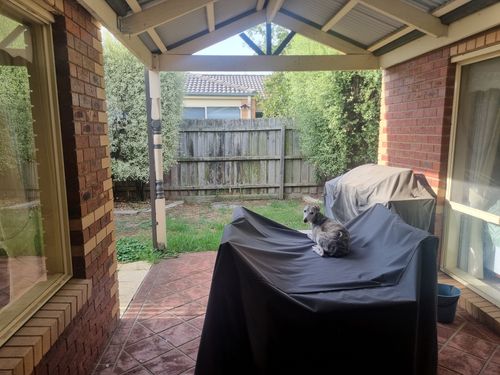 1000015310.jpg 1000015310.jpg