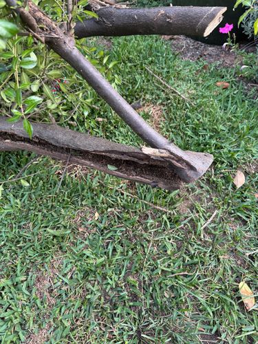 IMG_6033.jpeg IMG_6033.jpeg