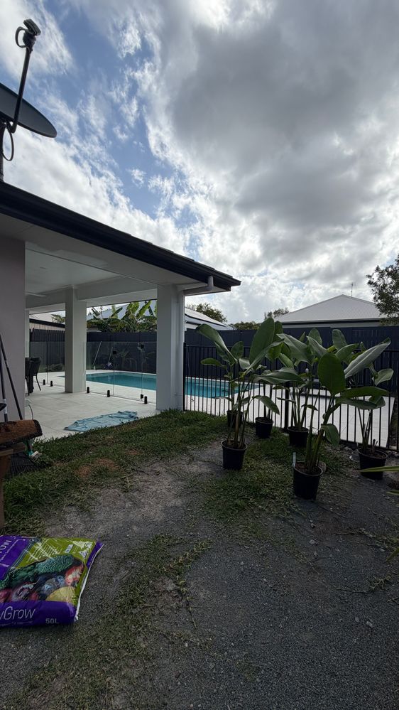 IMG_0339.jpeg IMG_0339.jpeg