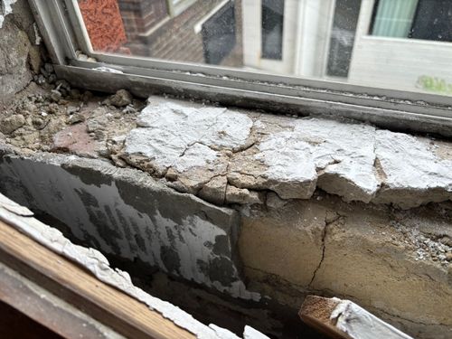 IMG_4340.jpeg IMG_4340.jpeg