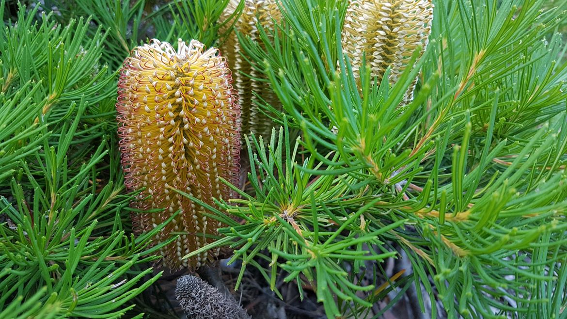 20190319_173238.jpg 20190319_173238.jpg