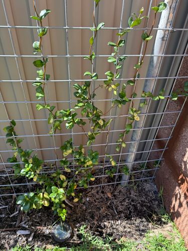 IMG_4434.jpeg IMG_4434.jpeg