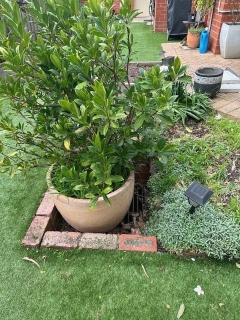 Grate 2.jpg Grate 2.jpg