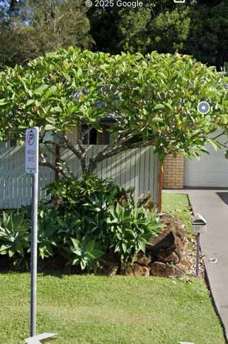 IMG_1391.jpeg IMG_1391.jpeg